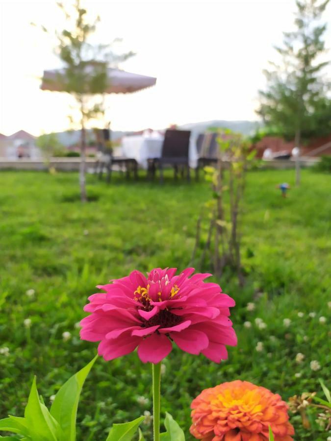 Bliss Inn Boutique Hotel Gabala Eksteriør bilde